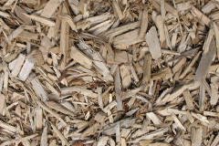 biomass boilers Aldon